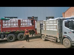 Chloriertes Polyethylen CPE 135A PVC-Einschlagsmodifikator für PVC-Rohre Weißpulver